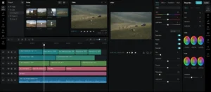 Capcut Pro